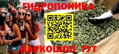 дмт Краснодар