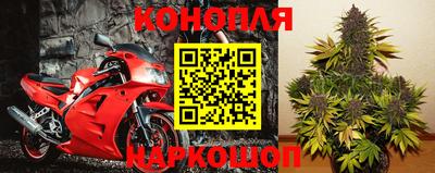 дмт Краснодар