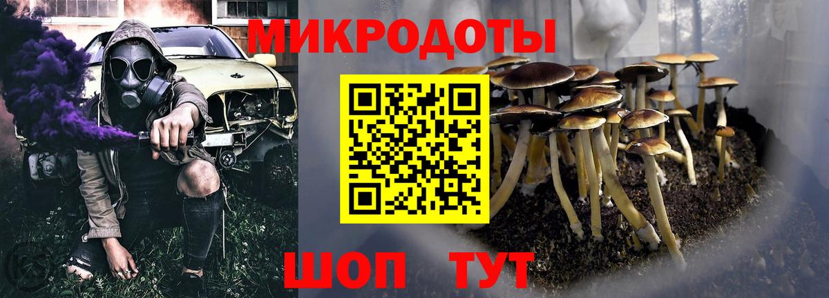 Псилоцибиновые грибы Cubensis Еманжелинск